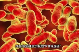 在日本疯传的“食人菌”是什么？会不会进一步扩散？#“食人细菌视频封面