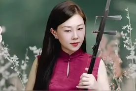 孟晓旭教授演奏《枉凝眉》#二胡独奏 #爱音乐爱生活视频封面