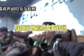 #原创视频 #胖猫 #谭竹 胖猫离世前给女友转账视频封面