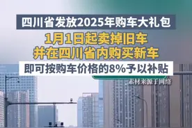 置换补贴8%，多重福利购车更优惠#领汽车国补就上懂车帝 #2025年汽车国补怎么拿视频封面