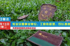 转业安置事业单位，工勤转管理，可以提拔！视频封面