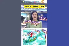 8号台风竹节草复活 不被看好的8号竹节草偏偏最争气，复活后直奔江浙沪包邮区#8号台风竹节草复活#竹节草直奔江浙沪#江浙沪将迎大到暴雨#天气有话说#本地新闻