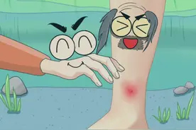 被水蛭吸血了怎么处理#新农人计划2023  #轻漫计划 #涨知识 #有趣的知识又增长了 #充能计划视频封面