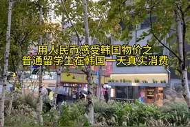 普通韩国留学生在韩国一天的真实消费之初雪正式版 #韩国留学 #韩国物价 #韩国日常vlog #美食vlog #首尔初雪视频封面