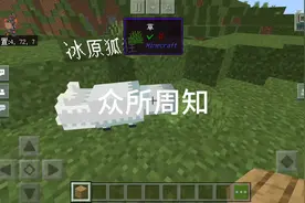 你不知道的方法#我的世界 #消除我的伙伴