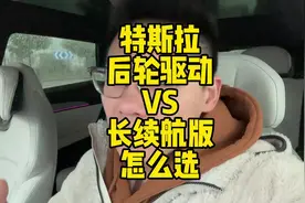 modely，model3后轮驱动版和长续航版怎么选#tesla #特斯拉视频封面