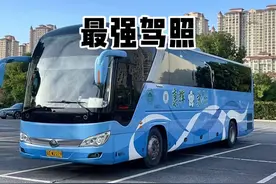 这才是驾驶证的天花板 #最强驾照 #a1a2d驾照