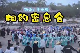 #火草衣 #夸萼氏白依人#相约密息会#鹤庆打跳#三月十三密息会