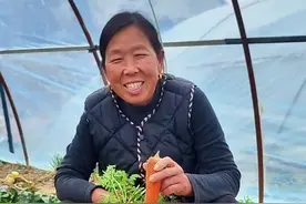 胡萝卜可不要种早了 胡萝卜的种植时间#蔬菜种植 #怎么种植胡萝卜 #胡萝卜种植时间和方法 #生菜杨姐 @DOU+小助手视频封面