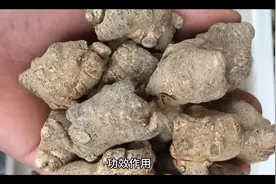 #上热门 #中药养生 #三七粉的功效与作用