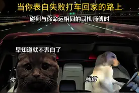 当你表白失败打车回家的路上 #猫咪表情包 #异地恋 #恋爱 #情侣视频封面