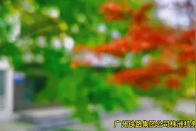 全路十大机务段之一，株洲机务段#我光荣我是铁路人视频封面