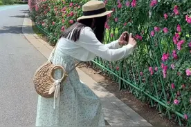 路边的小花试试这样拍太美了！ 教你四种拍花常用的运镜技巧，简单易学！#手机摄影 #拍花技巧 #蔷薇花 #治愈系风景 #拍摄技巧