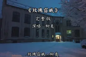 玫瑰窃贼完整版 玫瑰窃贼完整版-柳爽#音乐分享 #抖音热歌