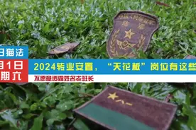 2024转业安置，“天花板”岗位有这些！ #退役军人安置视频封面