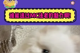 法老真的太给力了！不愧是能在演唱会封神的男人！燃爆了！！  #法老2025生于未来巡演 #法老南京首场嗨到掀翻屋顶