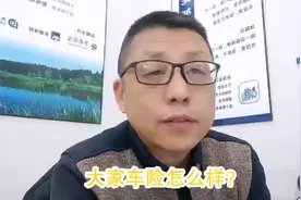 中央资本的6家保险公司之《大家车险》