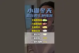 小猫冬天，呕吐的七种情况#新手养猫 #养猫人 #养猫新手小技巧视频封面