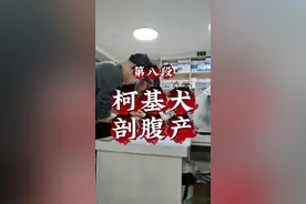 #狗狗生产 #柯基犬剖腹产 #生狗狗过程 #柯基小短腿 #萌宠日常记录