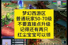 梦幻西游区，普通玩家50-70级的等级停法，和要领的两个宝宝。视频封面