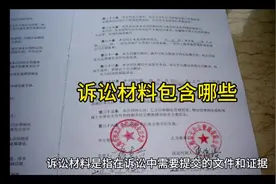 诉讼材料包含哪些#诉讼#法律咨询视频封面