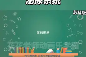看趣味动画，学八年级上册生物知识点，泌尿系统#初中生物 #生物会考必背知识点 #小四门视频封面