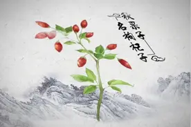 中宁枸杞技工：庄稼汉成为乡土技能人才视频封面