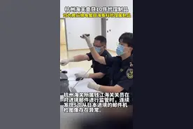 5月3日发布 浙江杭州#杭州海关查获10件玳瑁制品 均为爬行纲龟鳖目海龟科玳瑁属制品