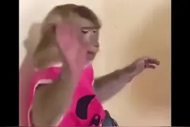 到底是谁开头的啊！！！！#谐音梗 #搞笑 #神评论