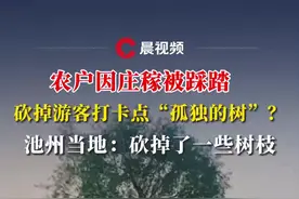 农户因庄稼被踩踏砍掉游客打卡点“孤独的树”？池州当地：仅砍掉一些树枝#媒体精选计划视频封面