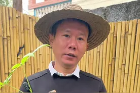 发财树扦插小技巧#发财树#花卉绿植 #养花小知识视频封面