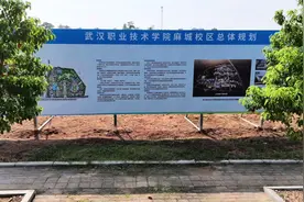 城发过国子苑｜武汉职业技术学院麻城校区建设有序推进》