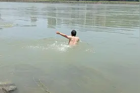 胖猫事件活得很哟！ 我也会跳 但是不怕 我会浮水 嘻嘻