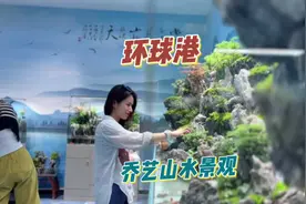 宜昌也有高端私人定制的山水景观了！就在环球港乔艺山水景观视频封面