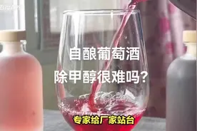 自酿葡萄酒，除甲醇很难吗？
