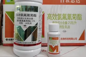 2.5%的高效氯氟氰菊酯 十字花科蔬菜 菜青虫杀虫剂#农资肥料视频封面