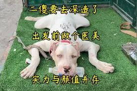 二傻要去深造了，出发前做个医美，漂漂亮亮的出发视频封面