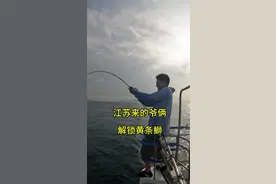 #热门 #獐子岛黄尖子#獐子岛鲅鱼@抖音短视频 @DOU+小助手