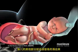 伟大的母爱！分娩过程3D动画还原 【3D医学动画】分娩过程