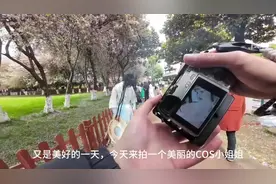 粉雪簌簌掠过蕾丝裙摆，洛丽塔洋装的缎带与早樱共舞。#拍照📸