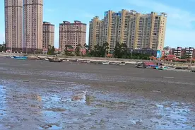 抓青蟹除了运气，经验很重要#抓螃蟹 #海边随拍视频封面