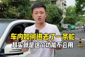这个功能没用好，车里容易进各种动物#每天一个汽车知识视频封面