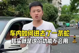 这个功能没用好，车里容易进各种动物#每天一个汽车知识视频封面