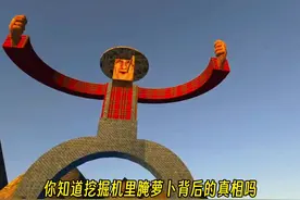 挖掘机里腌萝卜背后的真相吗 #233乐园 #约翰的农场