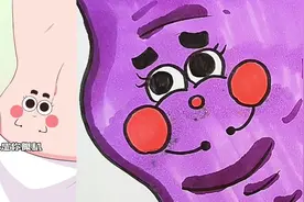 主人腹肌上的肥肉。 #儿童简笔画视频封面