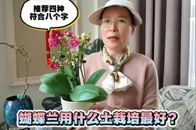 蝴蝶兰用什么土栽培最好？四种土壤推荐，符合八个字