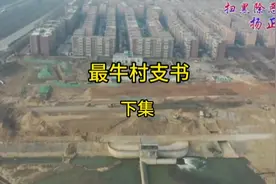 下集｜西安最牛村支书与陕西獒王覆灭记#法网恢恢疏而不漏视频封面