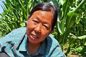 冬瓜怎么管理 冬瓜怎么授粉打叉#冬瓜种植 #蔬菜管理 #生菜杨姐 #三农 #蔬菜种植 @DOU+小助手