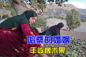 哈桑和萨母采摘橡木果，大家带来好消息#纪录片 #纪录片解说视频封面