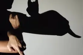 “有趣的手影舞 ，最后一个超级简单，谁都会，不信你们看”#手影视频封面